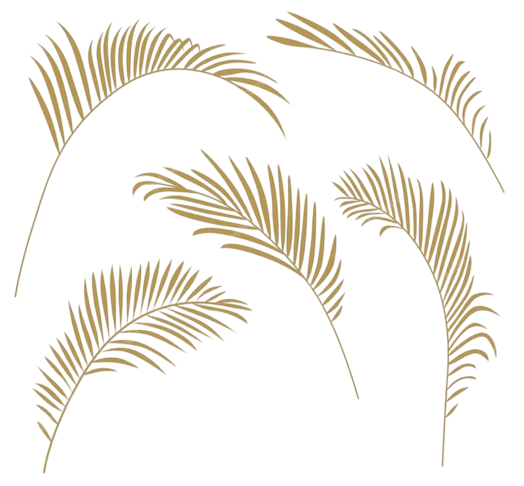 Background Leaf